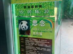 -灵玲国际马戏城