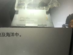 -湖南省地质博物馆