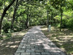 -金龙寺国家森林公园
