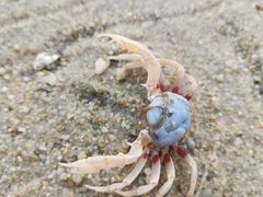 -北海金海湾红树林生态旅游区