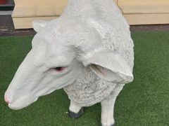 -九府羊鲜羊火锅·烧烤(海那城店)
