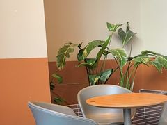 -Wagas沃歌斯(汇智店)