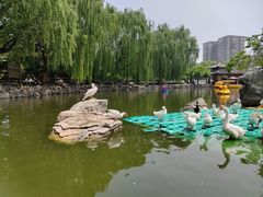 -团结湖公园
