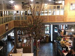 -Cafe Alice咖啡爱丽丝(奥城店)
