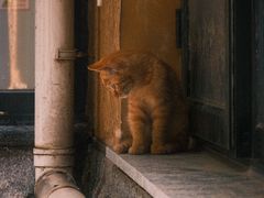 -北京市陈经纶中学