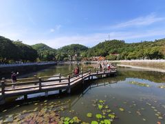 -红山村