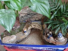 android_upload_pic-寒香会社(平江路店)