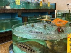 -雅香园·30年老字号顺德酒家(乐从岳步店)