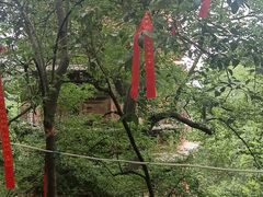 -宝通禅寺