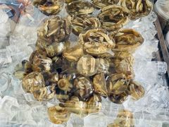 -铭聚章鱼土笋冻(松柏店)