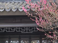 -松鹤楼(山塘街店)