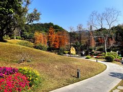 -云溪植物园