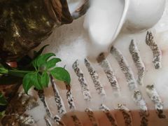 -揽季锅物会.福建黄鱼.海鲜姿造(五四路店)