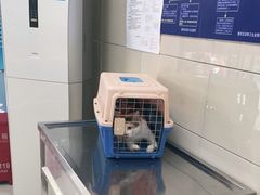 -申普宠物医院·眼科·心内科·影像科(普陀分院)