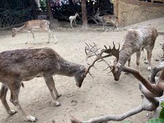 -长鹿旅游休博园