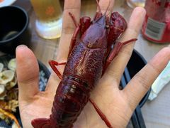 -李叔叔虾蟹大排档(青羊店)