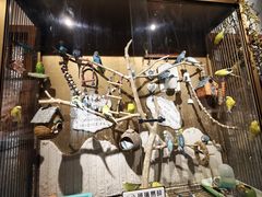 -观盐·盐帮菜(官园桥店)
