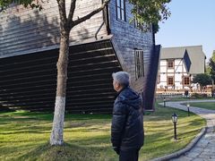 -金山农民画村-枫泾波兰倒置屋