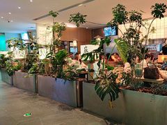 -桂满陇·杭州小馆(巴黎春天浦建店)