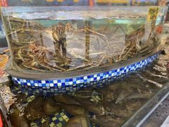 -顺德了能馆(虎门店)