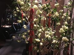 -湊湊火锅·茶憩(石家庄万象城店)