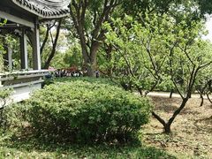 -无锡梅园公园