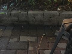 -豆舞咖啡(民乐路店)