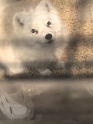 -酷嗒动物文化乐园(cutezoo西溪乐天城店)