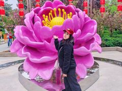 -太阳宫公园