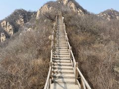 -大岭沟猕猴桃谷风景区