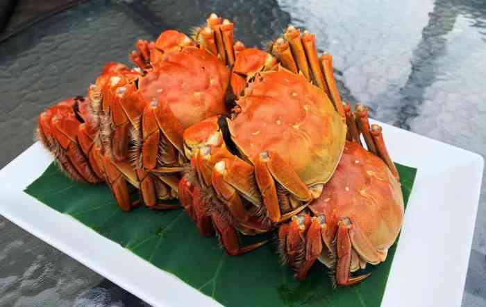 水中仙阳澄湖大闸蟹渔庄