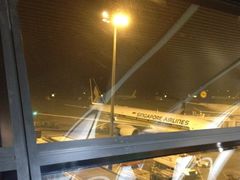 -新加坡航空公司(ION)
