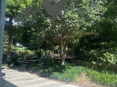 -Wagas沃歌斯(大学路店)