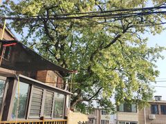 -林之六八·6886大连老菜馆