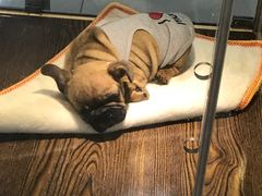 -乐宠宠物店(世纪金源店)