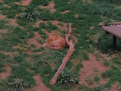 -大连森林动物园