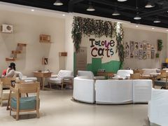 大堂-藏猫猫咖啡主题馆(中央大道店)