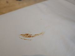-江仙雅居(苏州桥店)