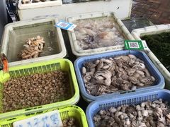 -大湾区中央湿地公园-十九涌