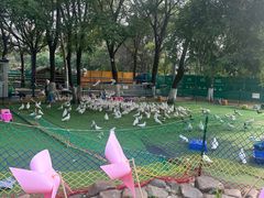 -长白岛森林公园