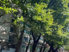 -荔湾湖公园
