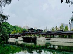 -重庆彩云湖湿地公园