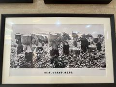 -妈妈菜舟山海鲜(定海古城店)