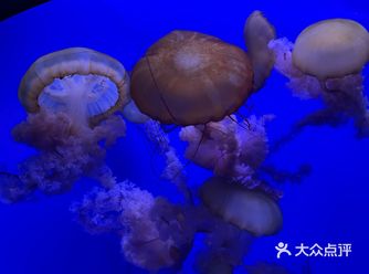 天津的精华之旅，强烈推荐～