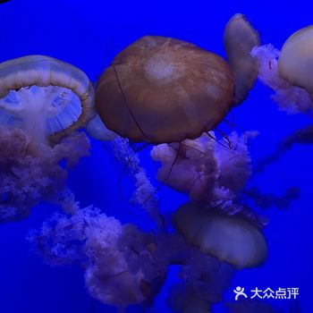 天津的精华之旅,强烈推荐~