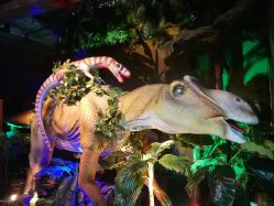 -恐龙探索乐园(磁器口店)