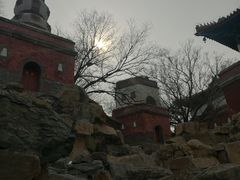 -颐和园