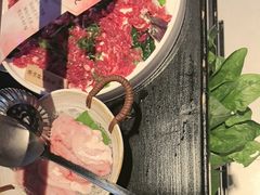 -辣伍鲜毛肚老火锅(元一店)