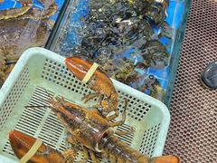 -船奇蒸汽海鲜·闽菜(八市海鲜总店)