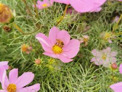 -君乐宝优致牧场